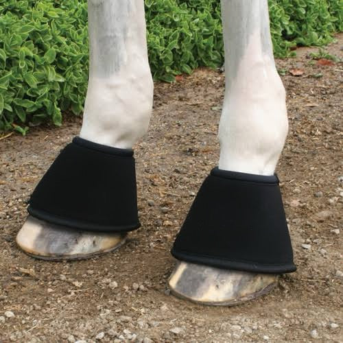 Cloche de Silicone para proteção das patas dianteiras de Cavalos