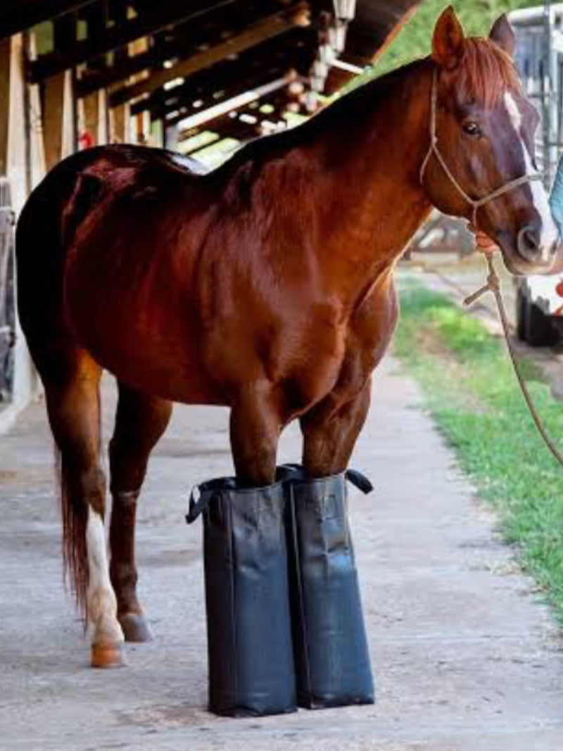 Ice Boot - Bolsa Bota de Gelo para  Cavalos (Par)